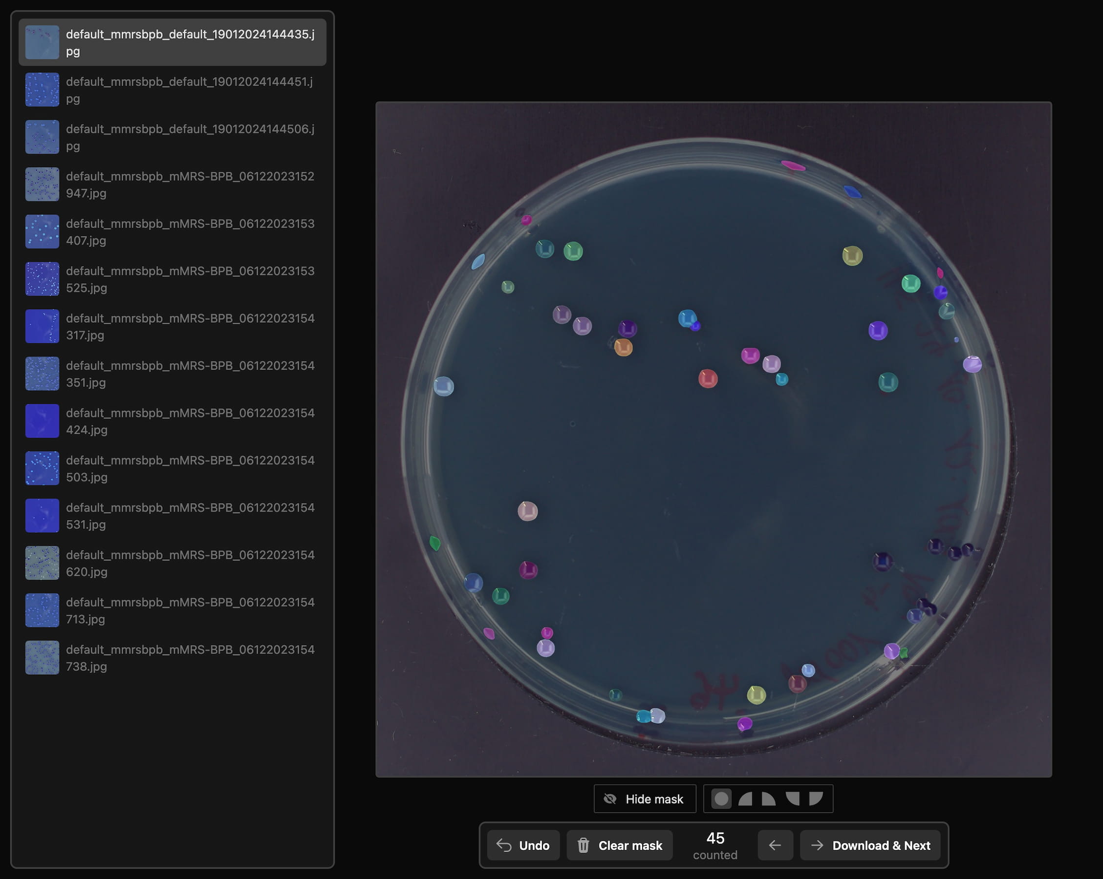 SAM-based annotation interface showing precise instance segmentation masks