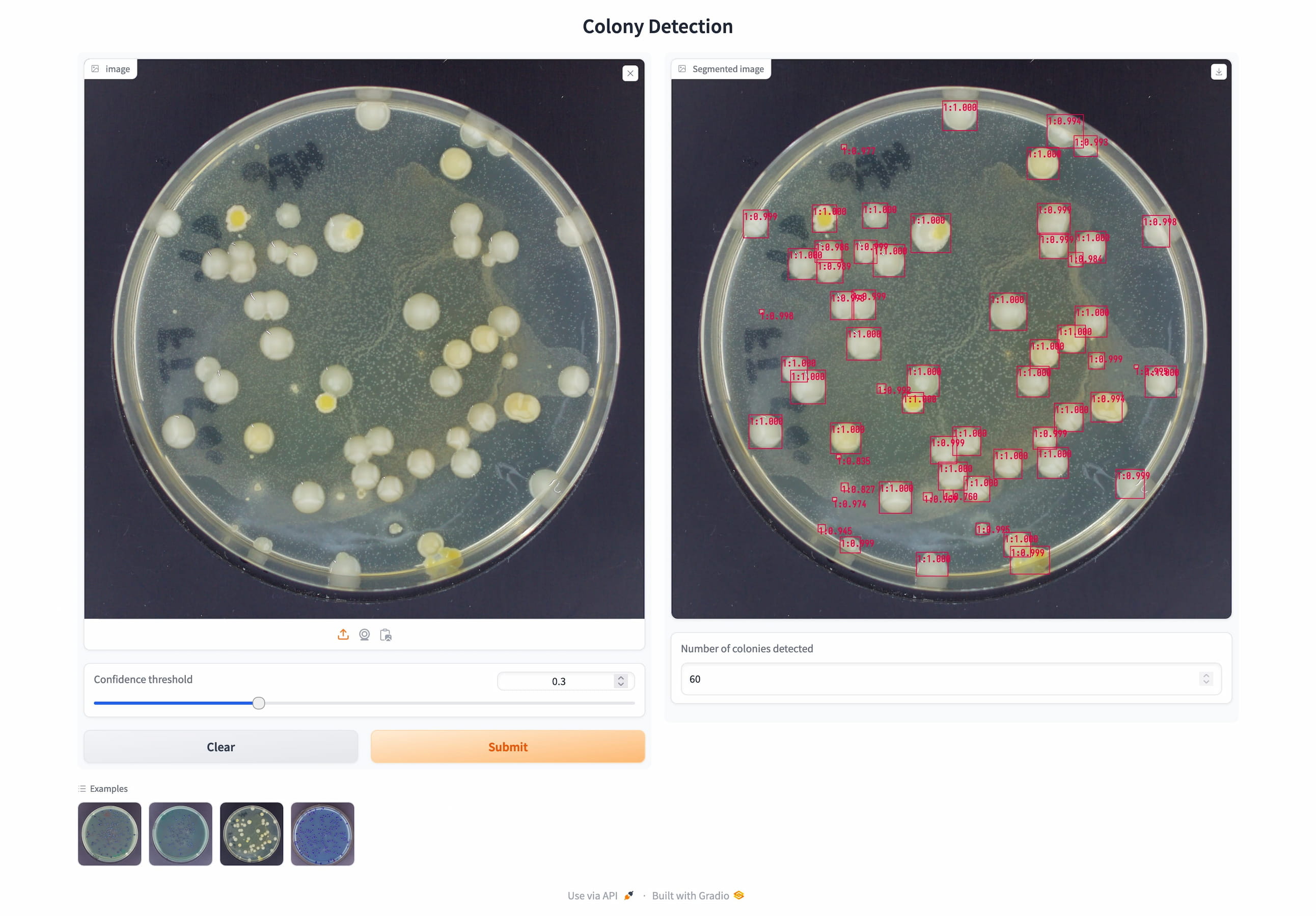 Web application for automated colony counting